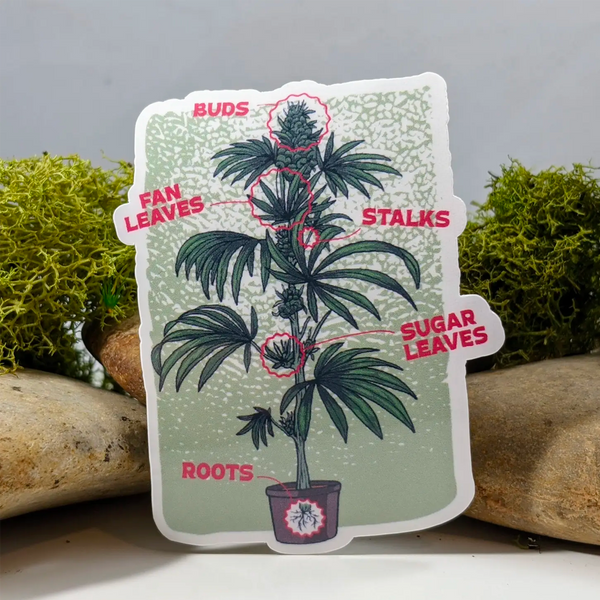 Anatomy of a Plant Sticker