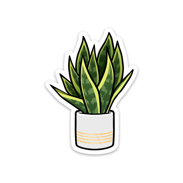Snake Plant by Jen Borror | Hoot Design Studio on Dribbble