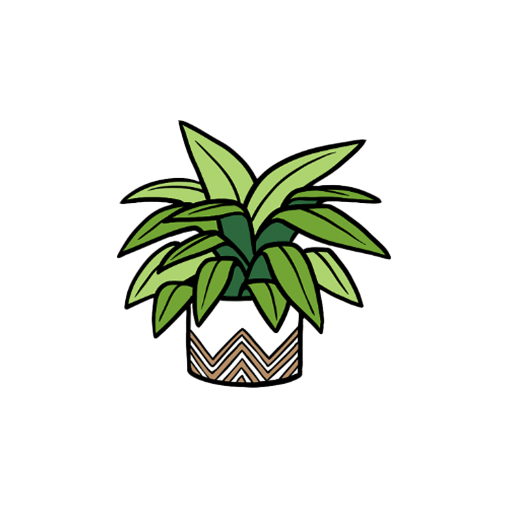 MAGNET | HOUSE PLANT