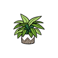MAGNET | HOUSE PLANT