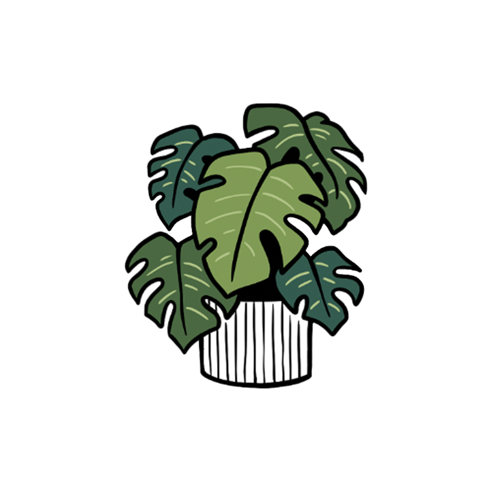 MAGNET | POTTED MONSTERA PLANT