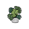 MAGNET | POTTED MONSTERA PLANT