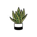 Load image into Gallery viewer, MAGNET | SNAKE PLANT
