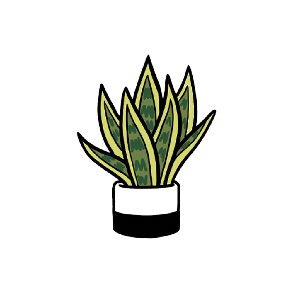 Simple Green Plant Drawing - Plant Drawing - Sticker