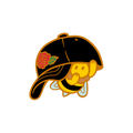 🐝 PIN | DADHAT BEE