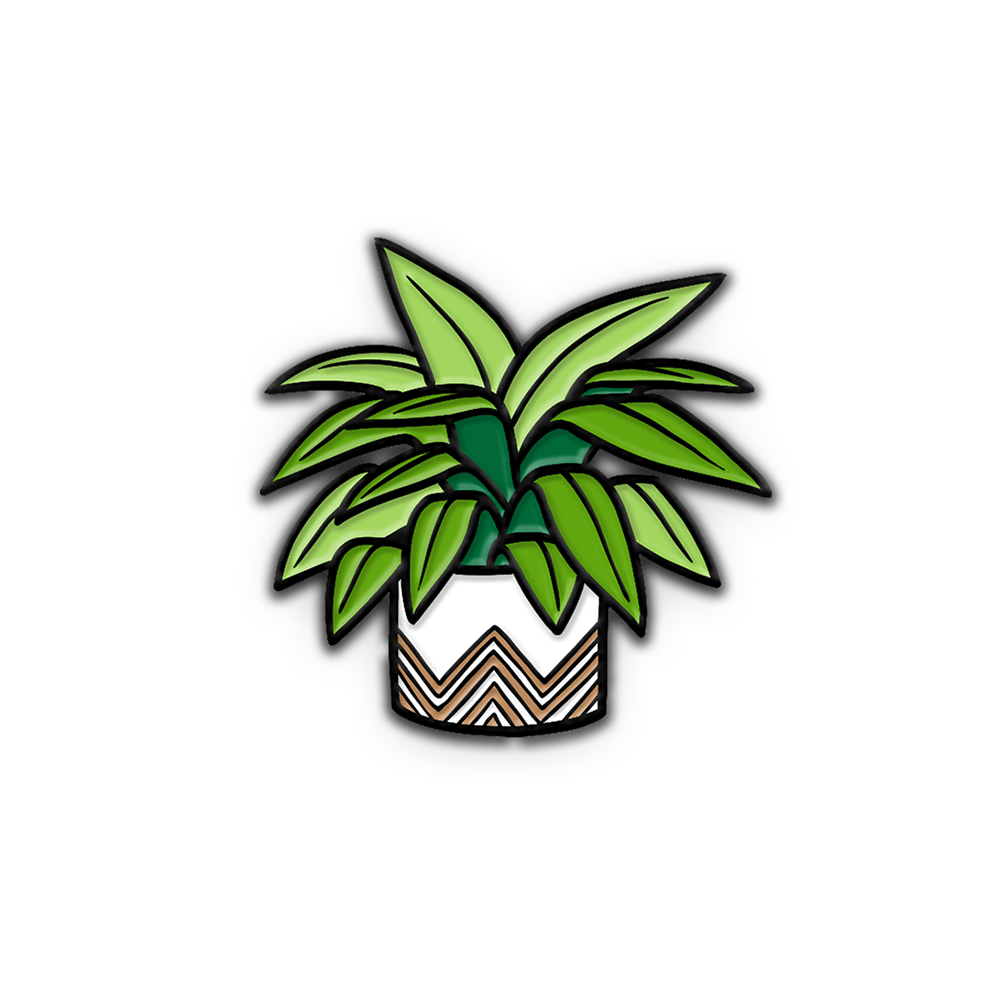 PIN | HOUSE PLANT