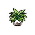 PIN | HOUSE PLANT