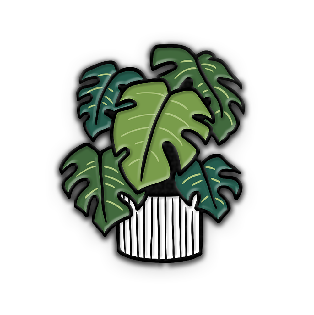PIN | POTTED MONSTERA PLANT