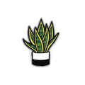 PIN | SNAKE PLANT