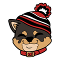 PIN | RILEY THE SHIBA
