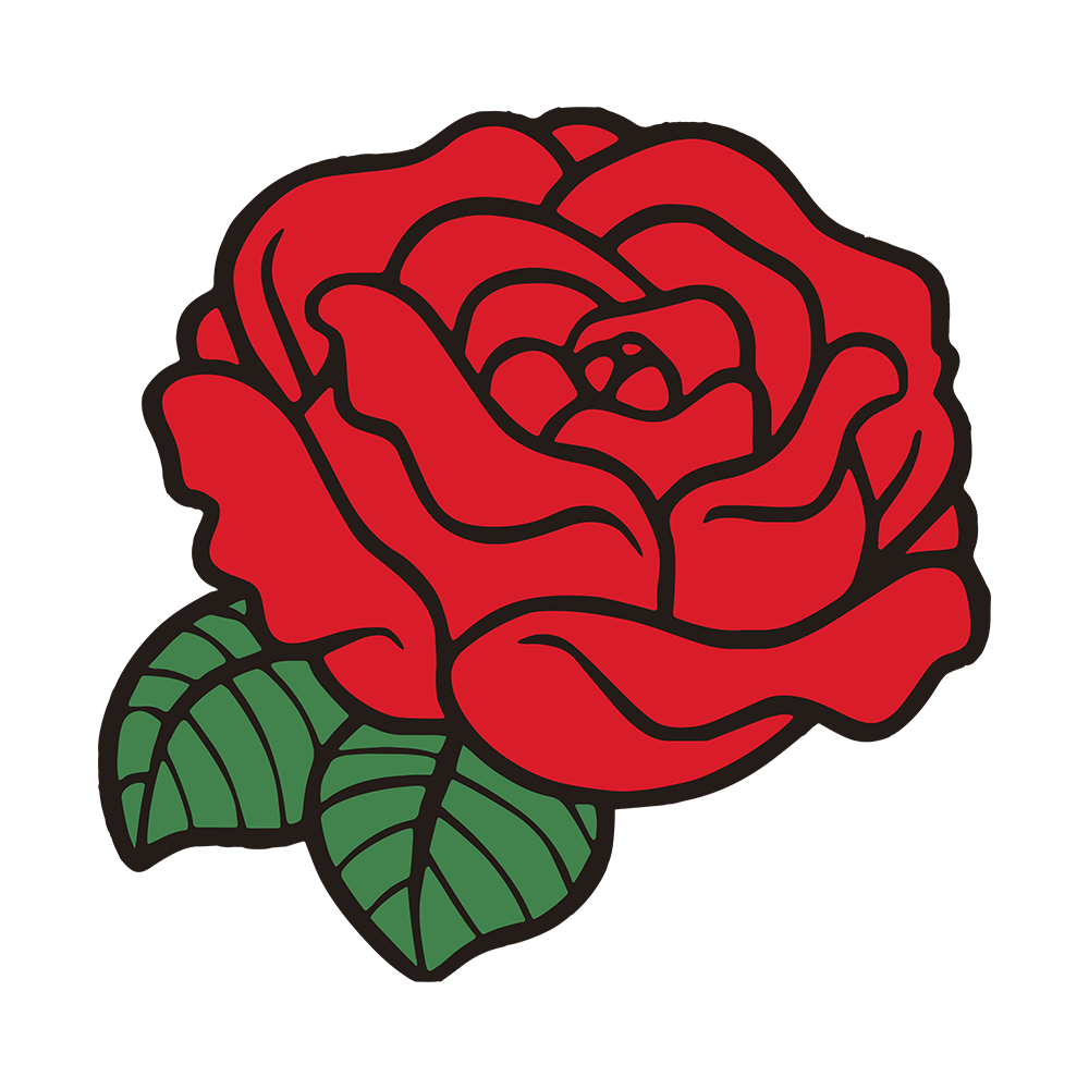 PIN | RED ROSE