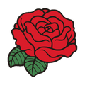 PIN | RED ROSE