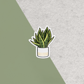 STICKER | SNAKE PLANT