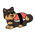 PIN | SUSHI SHIBA #2