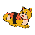 PIN | SUSHI SHIBA